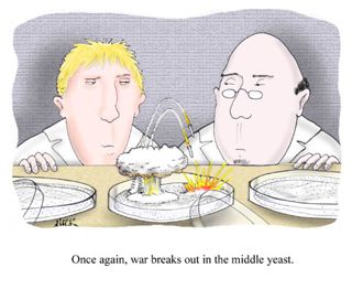 War in the Middle Yeast